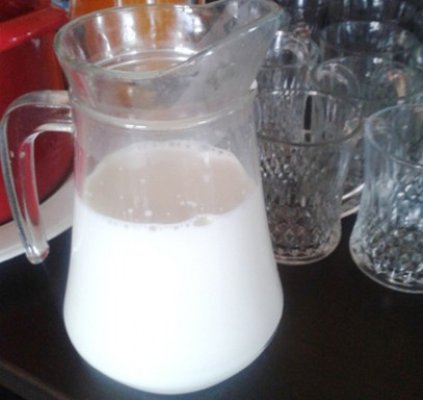 Danone închide trei fabrici din Europa